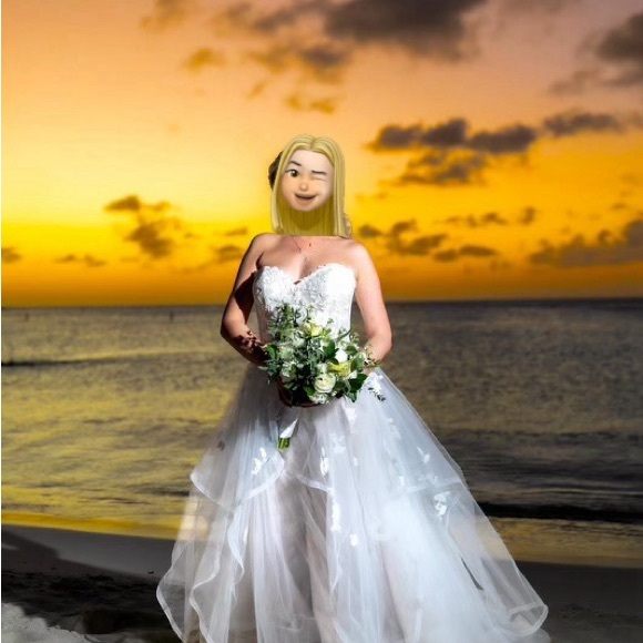 Wedding Dress by Beloved with matching vail and accessories size 10 - Picture 8 of 15